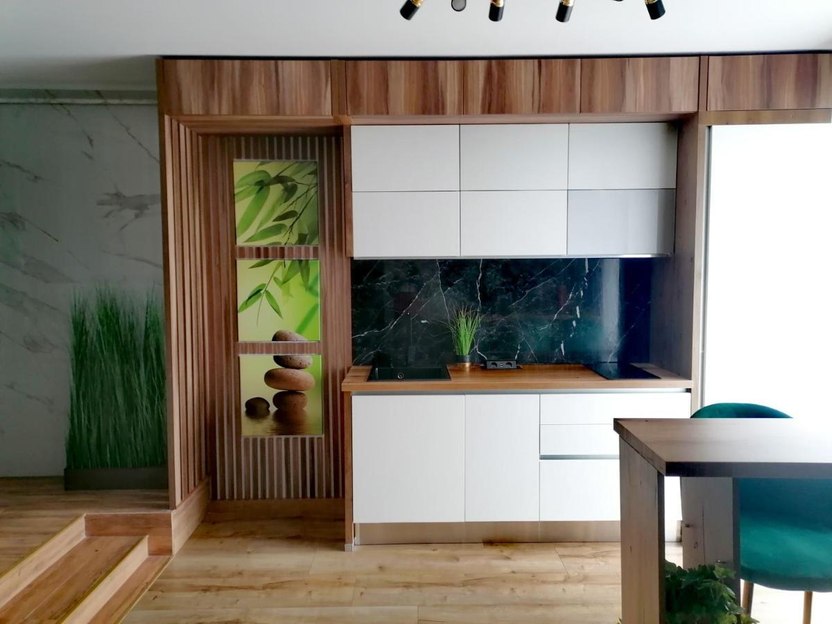 Jacuzzi Apartment Baia Mare Luaran gambar