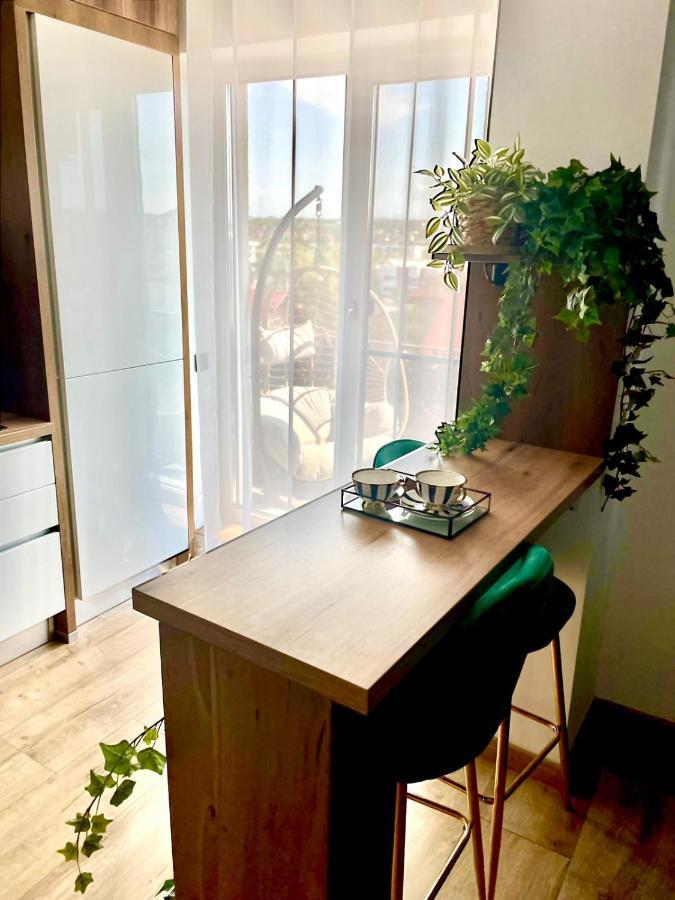 Jacuzzi Apartment Baia Mare Luaran gambar